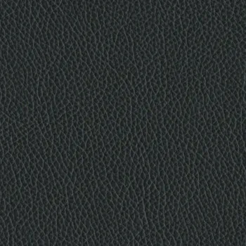 Leder schwarz